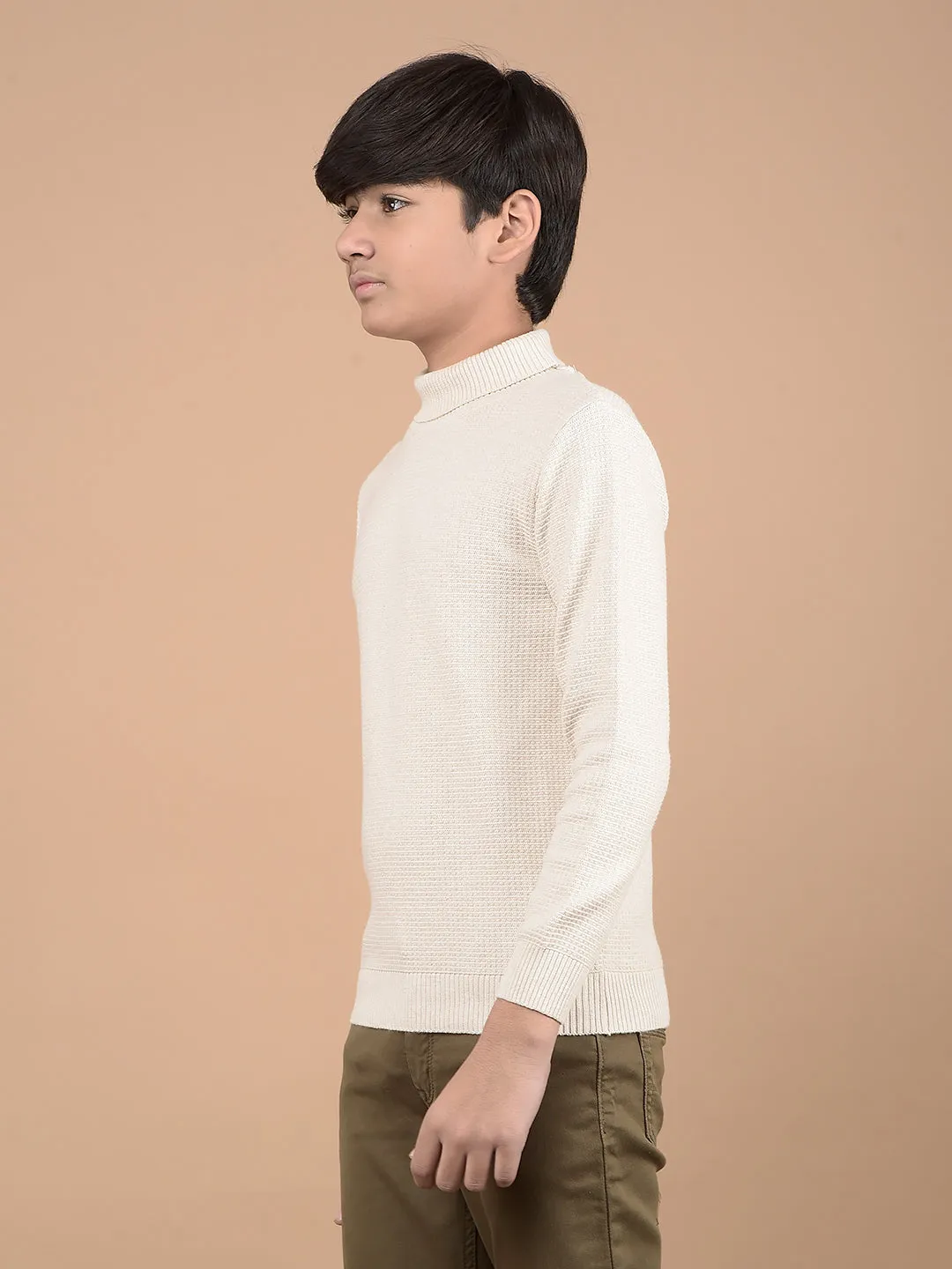 Beige High Neck 100% Cotton Sweater