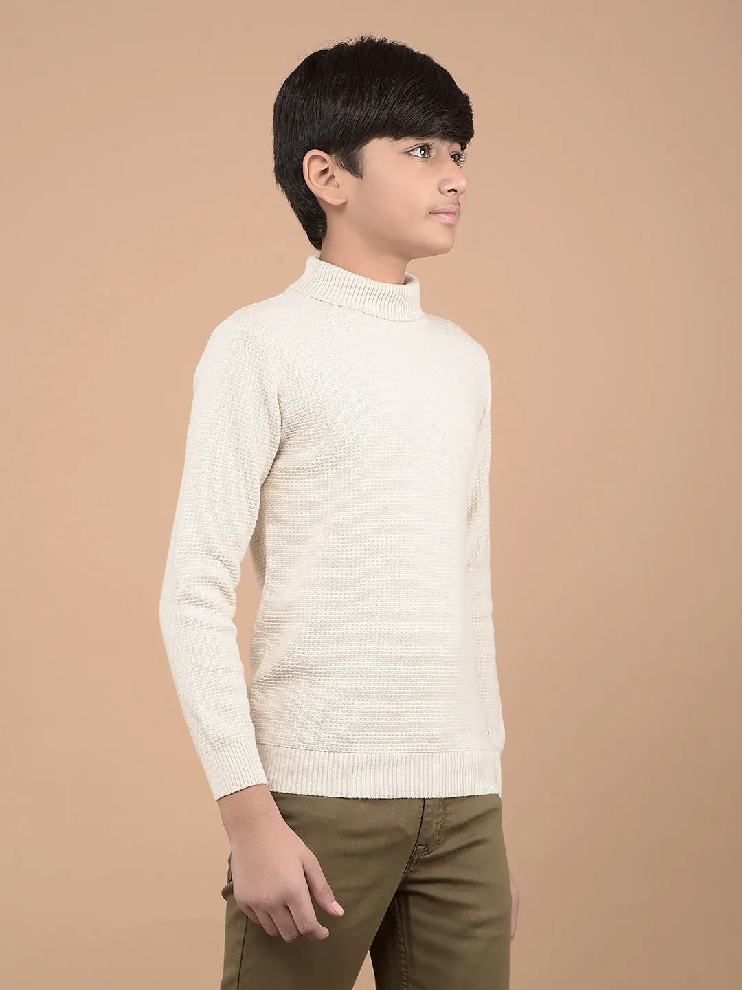 Beige High Neck 100% Cotton Sweater