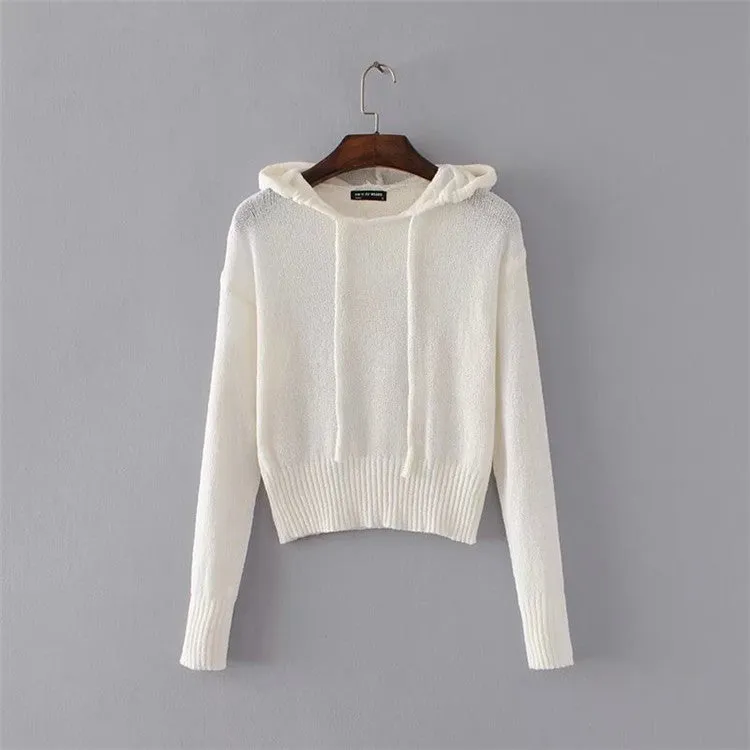 Pure Color Hood Long Sleeves Scoop Hooded Sweater